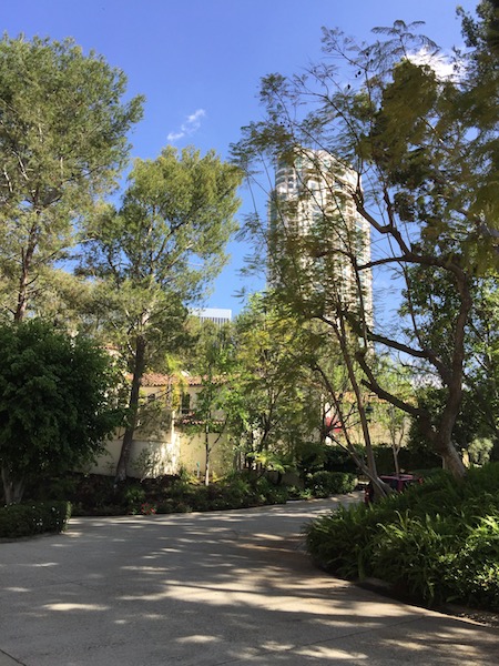 Homes for sale in Century Woods, Century City